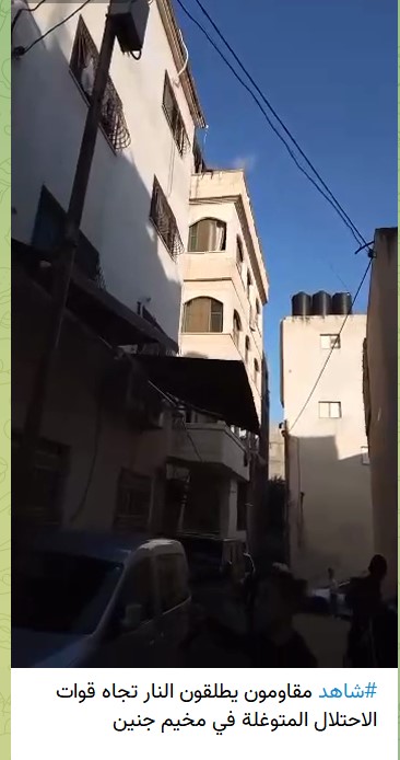 שירין אבו עקלה shirin abu akla