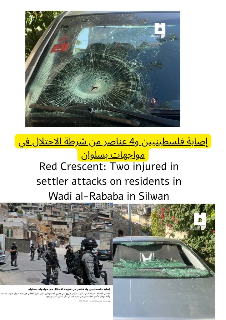 Red Crescent: Two injured in settler attacks on residents in Wadi al-Rababa in Silwan