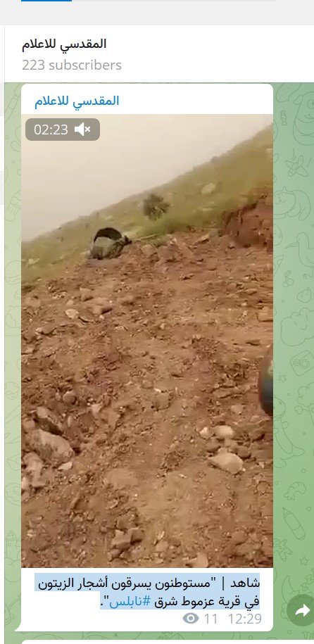 מתנחלים עקרו עצי זית של פלסטינים בכפר עזמוט ליד שכם 