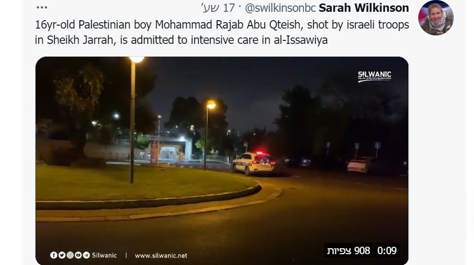 צילום מסך- הטוויטר של שרה ווילקינסון