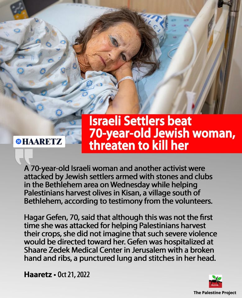 Palestine Project Facebook- Hagar Gefen assault