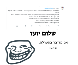 דמיסקסואלים