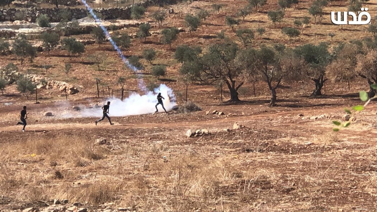 Palestinians and tear gas quds news netwotrk