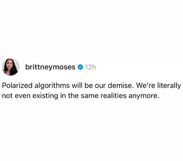 brittneymoses ✅ 12h
Polarized algorithms will be our demise. We’re literally not even existing in the same realities anymore.